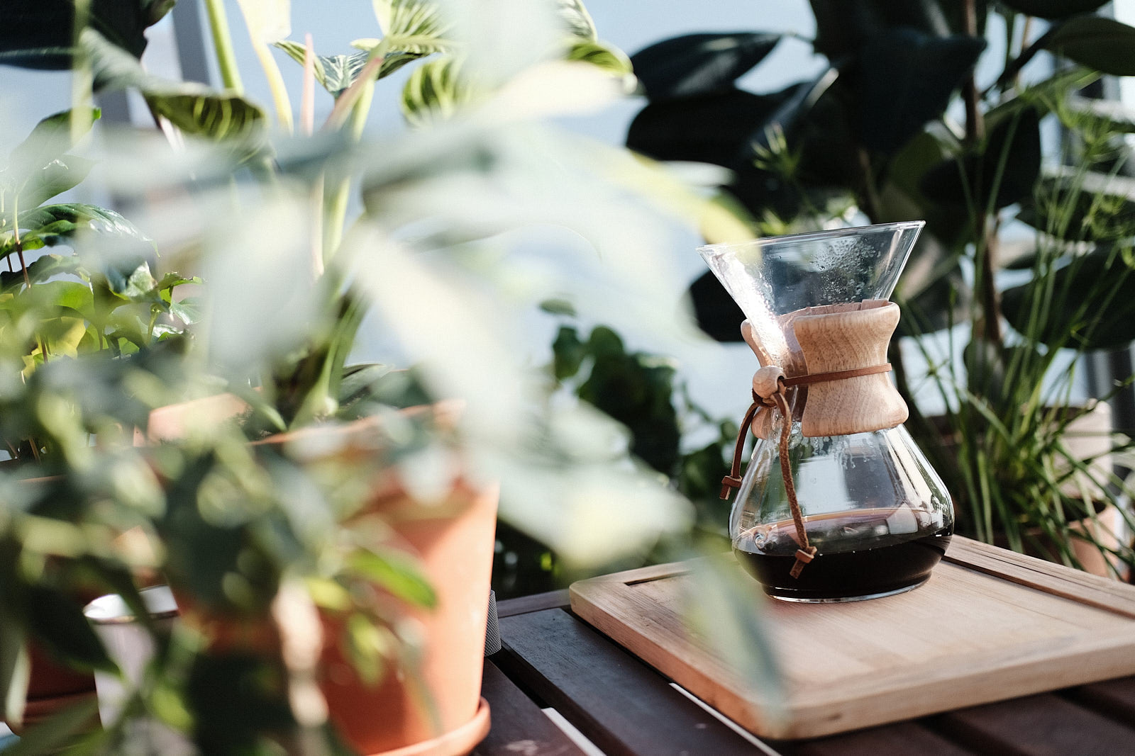 Chemex mit frisch gebrühtem Kaffee auf Tablett im Tageslicht