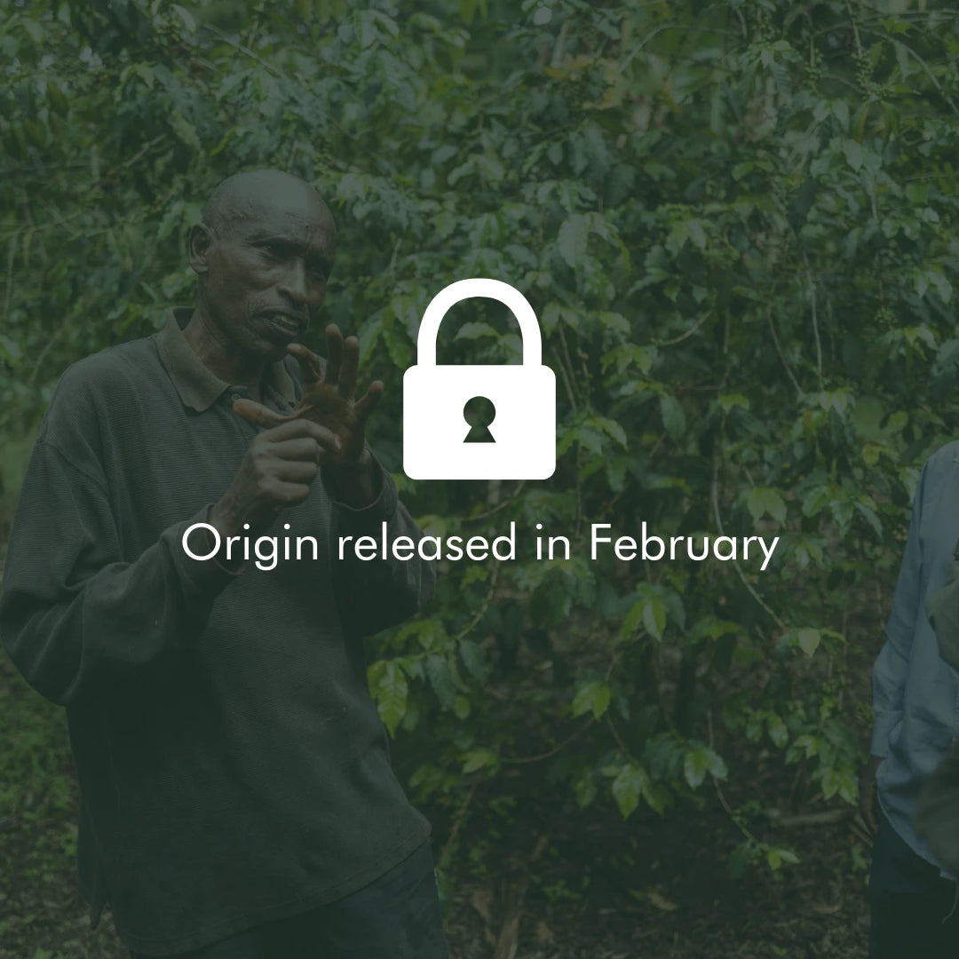 Coffee Origin not released yet