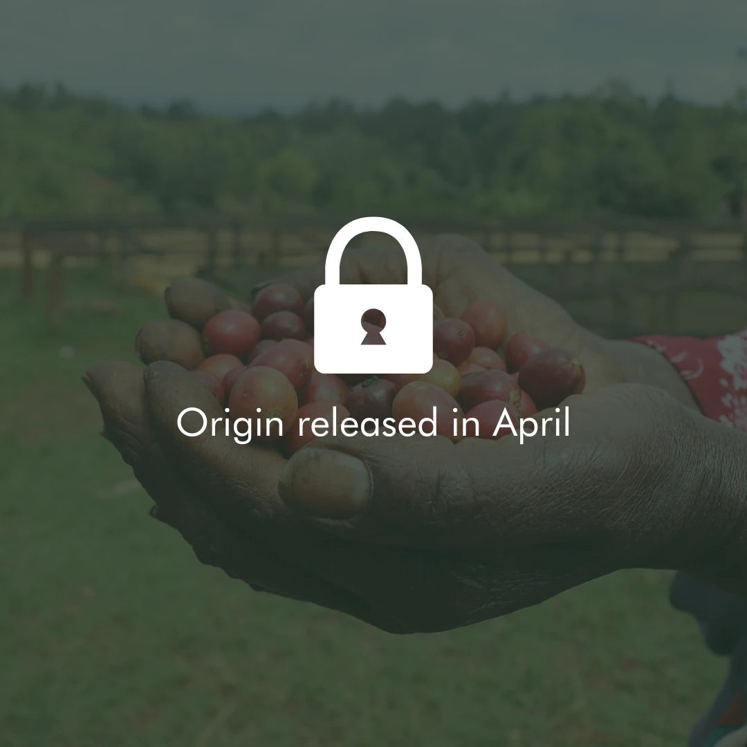 Coffee Origin not released yet