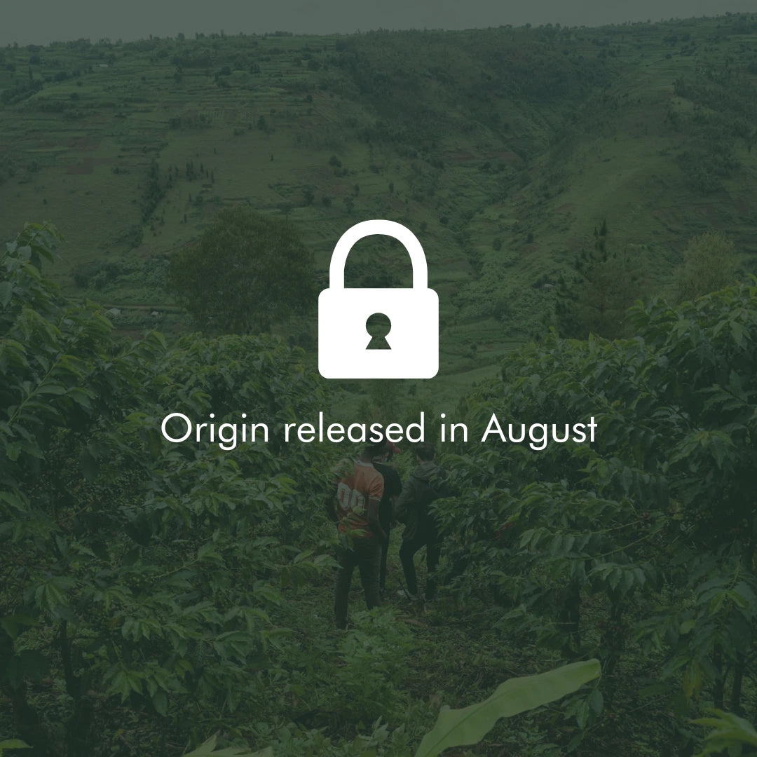 Coffee Origin not released yet