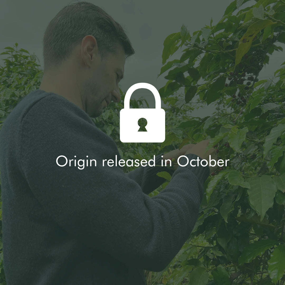 Coffee Origin not released yet
