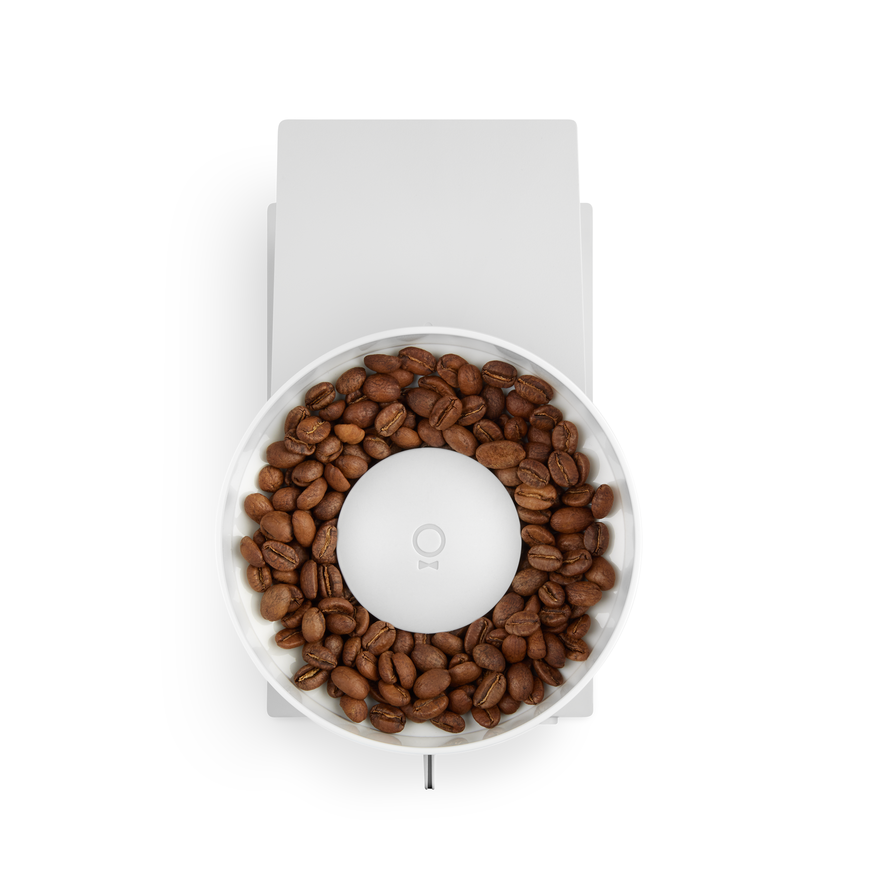 Fellow Opus Allzweckmühle | Elektrische Kaffeemühle | matt weiß - Coffee Annan 