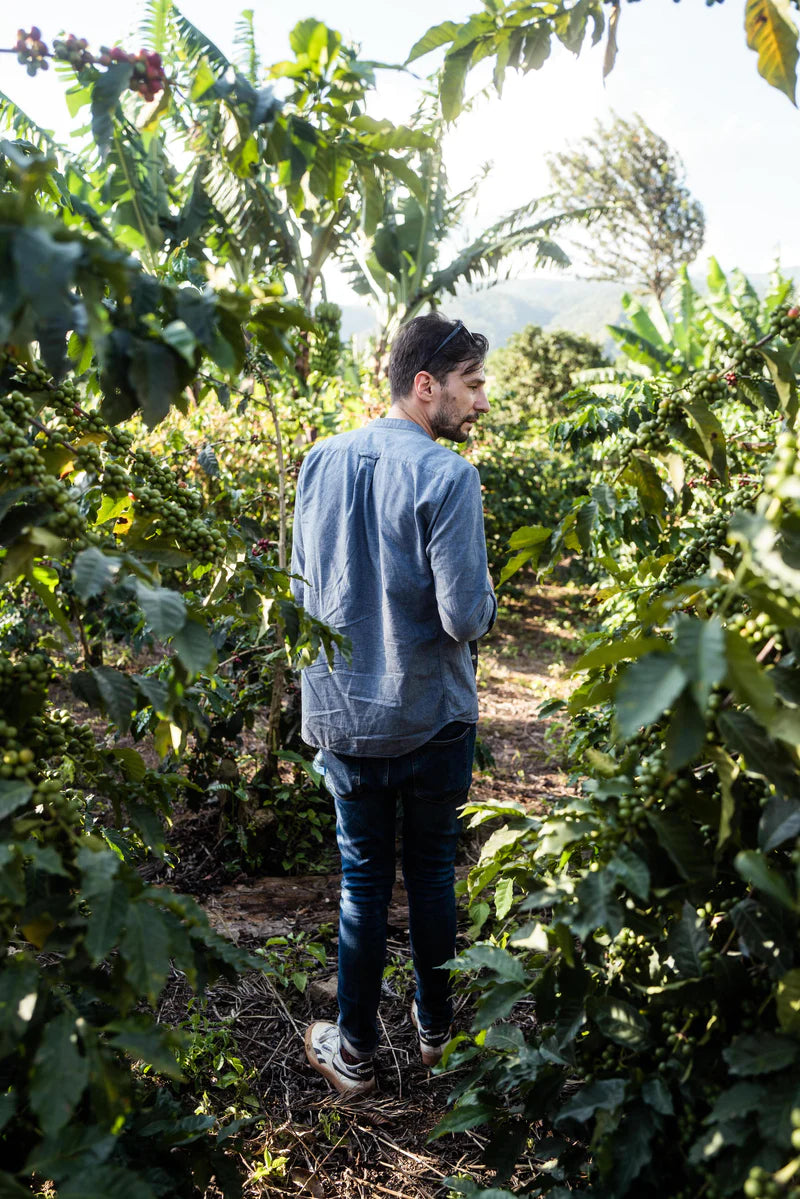 coffee annan founder farm africa